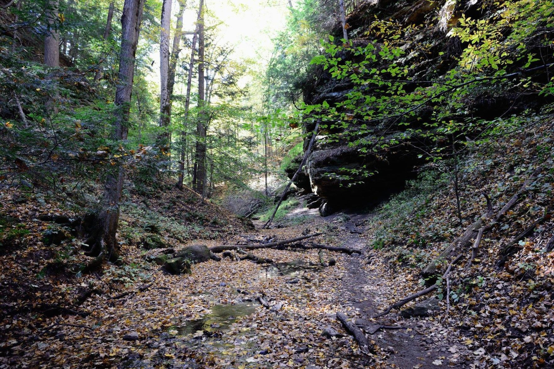 Shades State Park